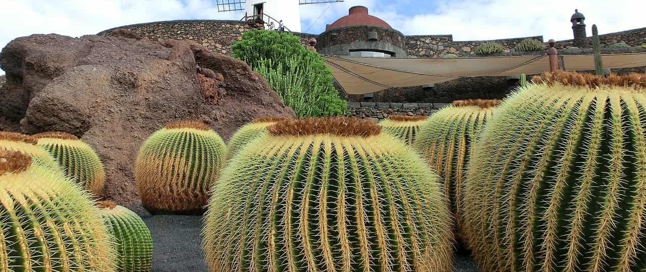 viaje-fin-de-curso-lanzarote.