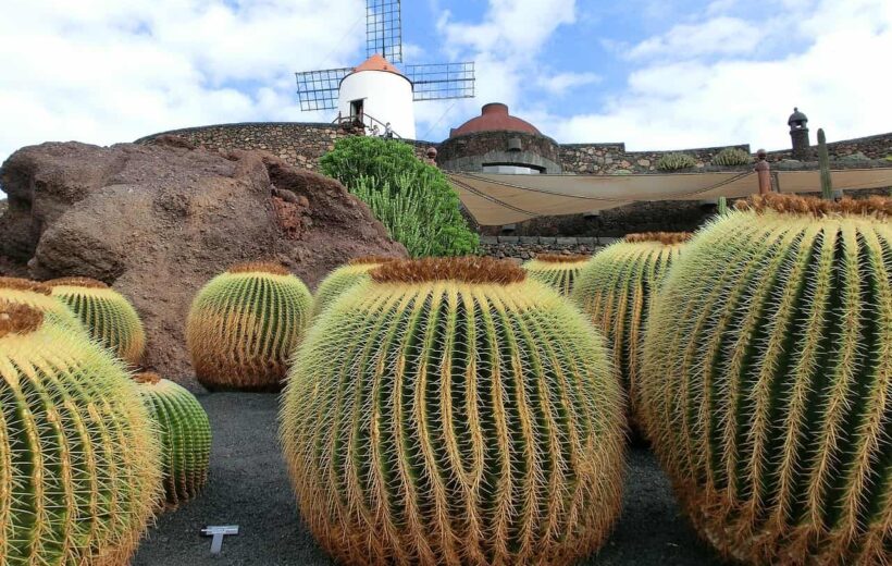 Viaje Fin de Curso a Lanzarote