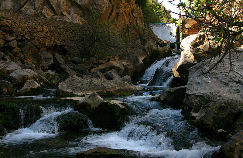 Multiaventura en Cazorla